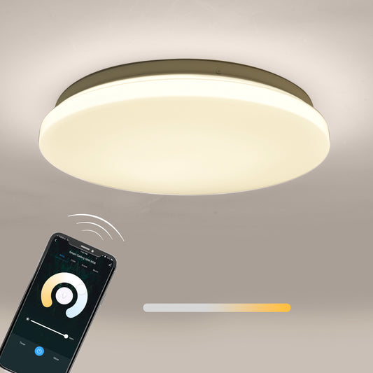 SMART WI-FI LED CEILING LAMP