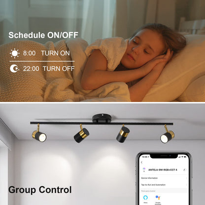 Smart Wi-Fi Spotlight